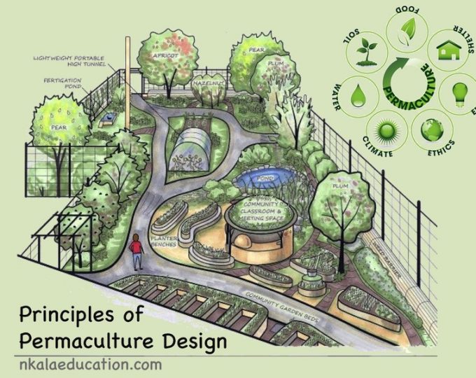 permaculture_web.jpg